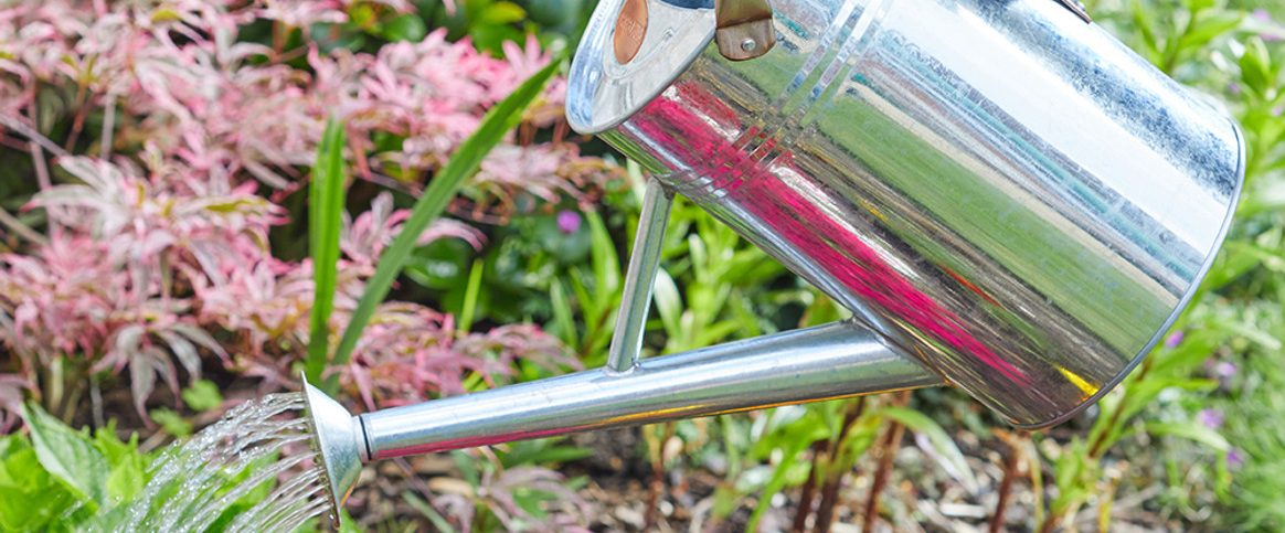 Best watering cans for your garden to help you save water