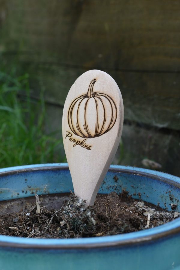 Pumpkin Wooden Vegetable Garden Marker