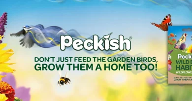 Peckish Encourages The Nation To Not Just Feed The Birds, But Grow Them A Home Too, With Free Wildflower Seeds