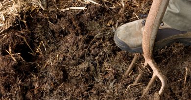 Garden Compost: Varieties and their benefits