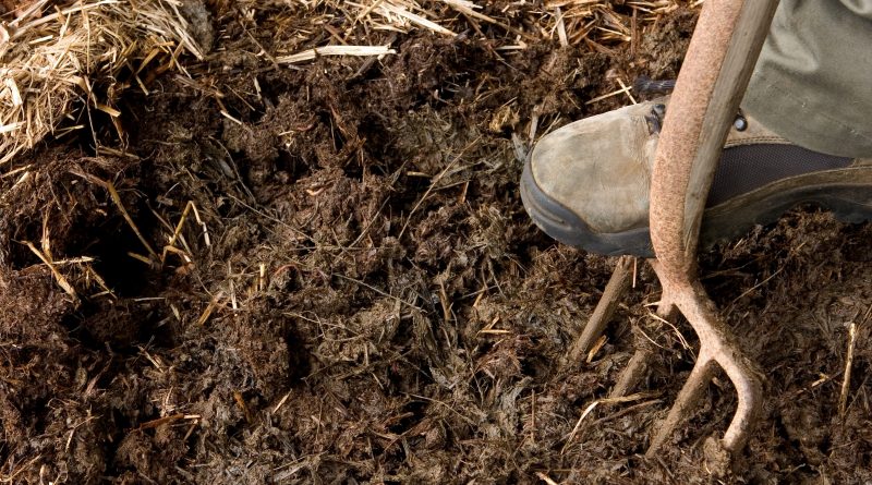 Garden Compost: Varieties and their benefits