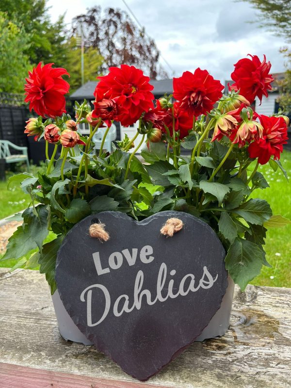 ‘Love Dahlias’ Slate Garden Sign