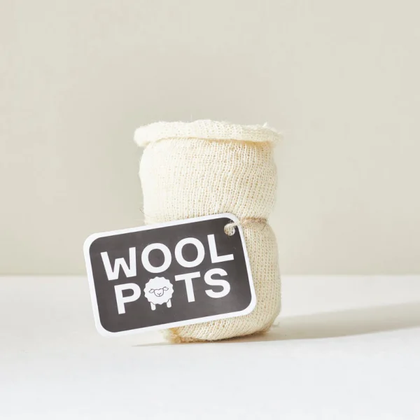 Pack of 10  - Biodegradable Plant Pots - Wool Pots