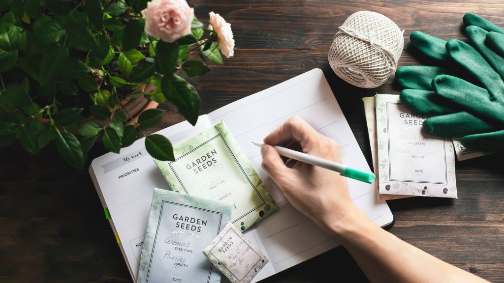 Sketching garden design